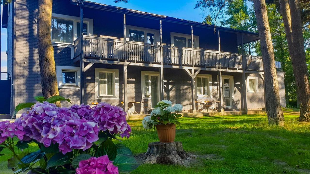 Guest House Saulgriezes Nīca المظهر الخارجي الصورة