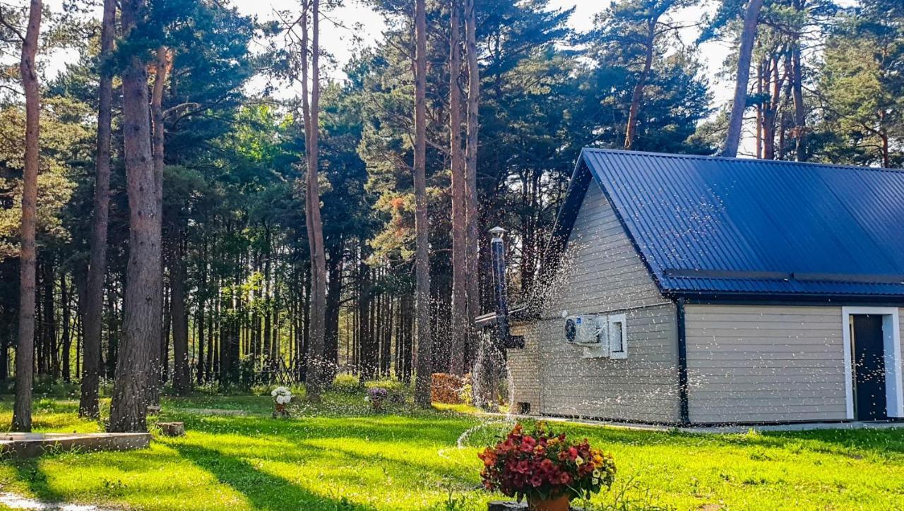Guest House Saulgriezes Nīca المظهر الخارجي الصورة