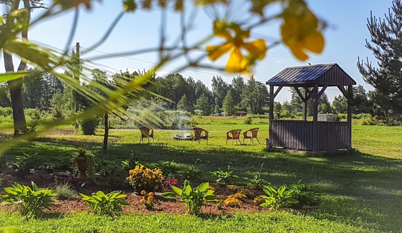 Guest House Saulgriezes Nīca المظهر الخارجي الصورة